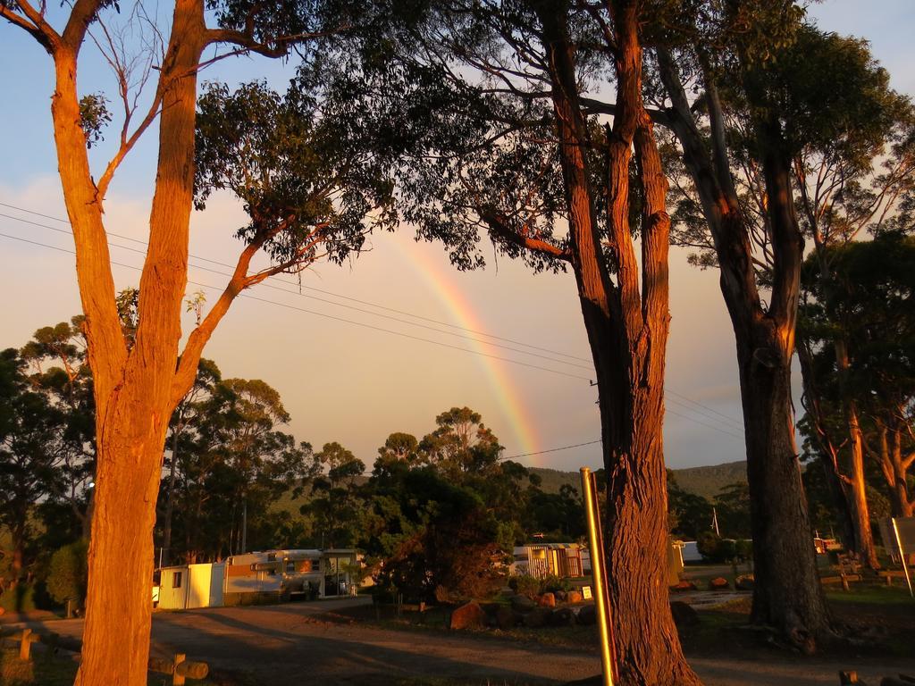 Captain Cook Holiday Park Adventure Bay Экстерьер фото